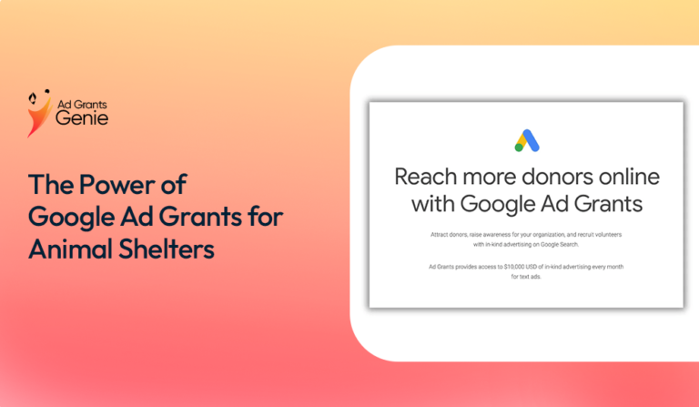 Google ad grants for animal shelters